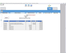 Load image into Gallery viewer, Sistema de Gerenciamento para Micro e Pequenas Empresas em Excel