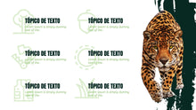 Load image into Gallery viewer, Apresentação de Animal em Powerpoint
