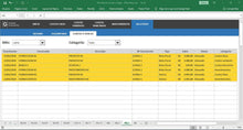 Load image into Gallery viewer, Planilha de Contas a Pagar com Análises Mensais de Desempenho em Excel