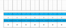 Load image into Gallery viewer, Planilha de Fluxo de Caixa Diário em Excel
